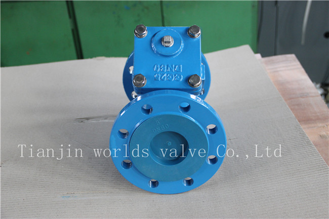 Wcb Y Type Strainer with Ss304 Screen