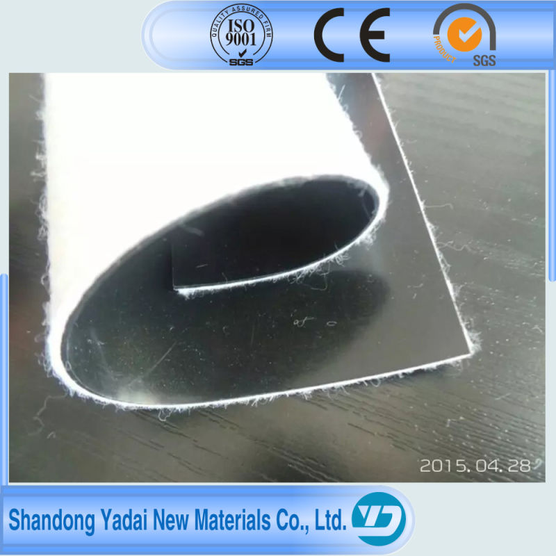 Composite Geomembrane with Factory Price