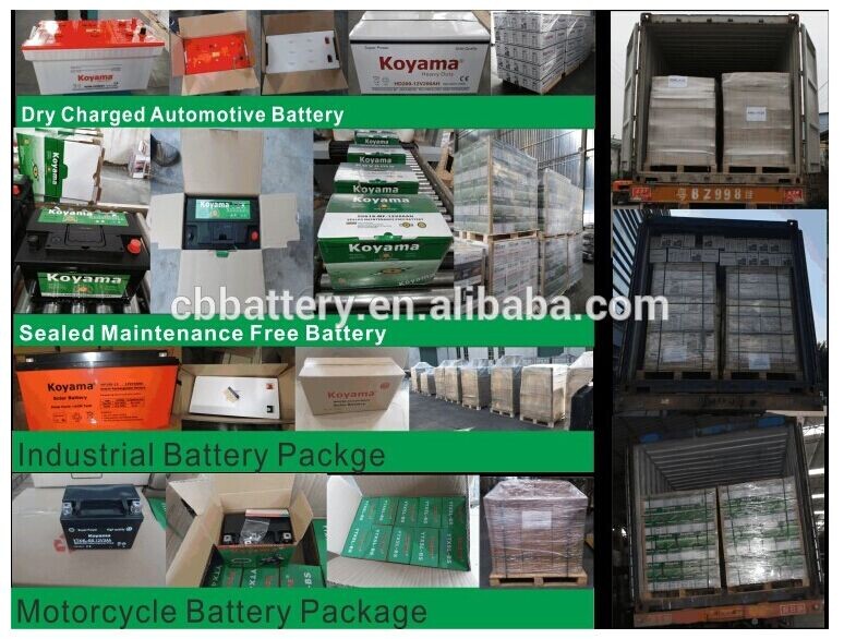 Wholesale New Product Dry Cell 12V Solar Battery NPS100-12