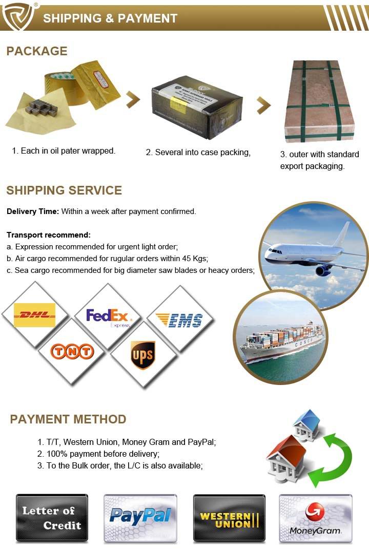 Diamond Segment Tools for Stone Cutting (SY-DTB-24)