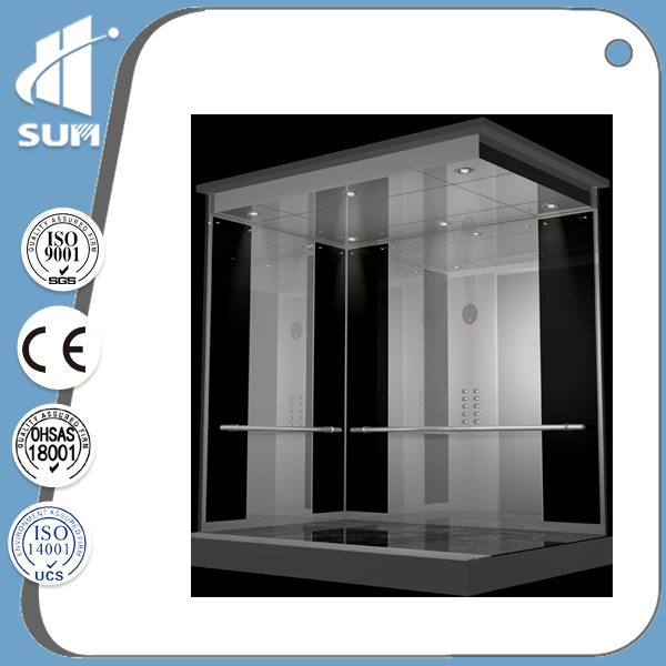 Speed 1.0m/S Machine Room Stainless Steel & Glass Panoramic Elevator