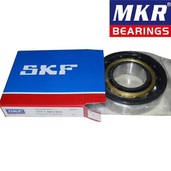 Beairing/ SKF / Timken / NSK/ Koyo Bearing/ Rodamiento/ China Low Price