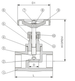 Female Threaded NPT Cast Stainless Steel 304 Globe Valve