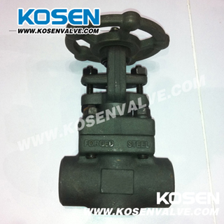 Italy Lvf Type Forged Gate Valve (Z61)