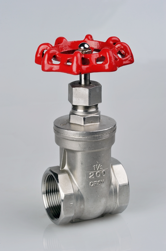 Stainless Steel Non-Rising Stem Gate Valve