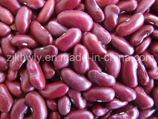 Dark Red Kidney Beans~