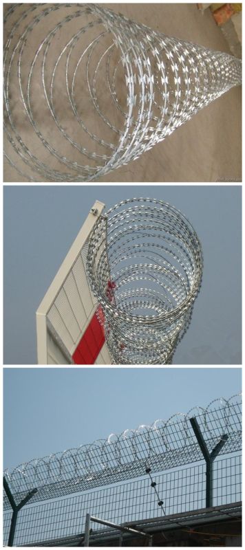 Galvanized Concertina Razor Wire for Fence with (CE and SGS)