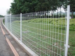 Welded Mesh Fence (factory in Anping county, China)