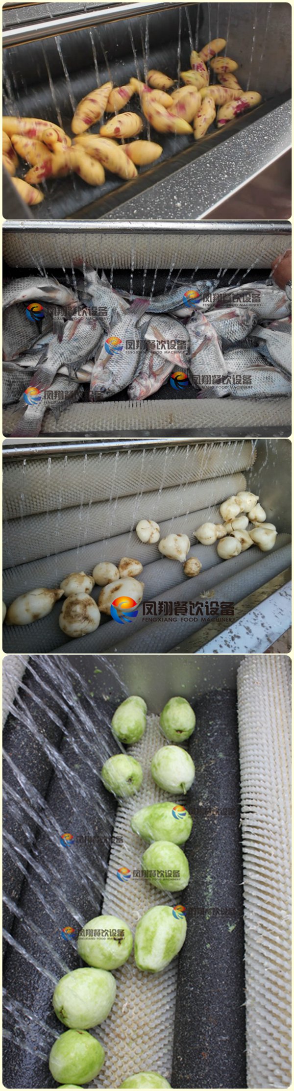 500kg/H Industrial Commercial Fruit and Vegetable Brush Washer