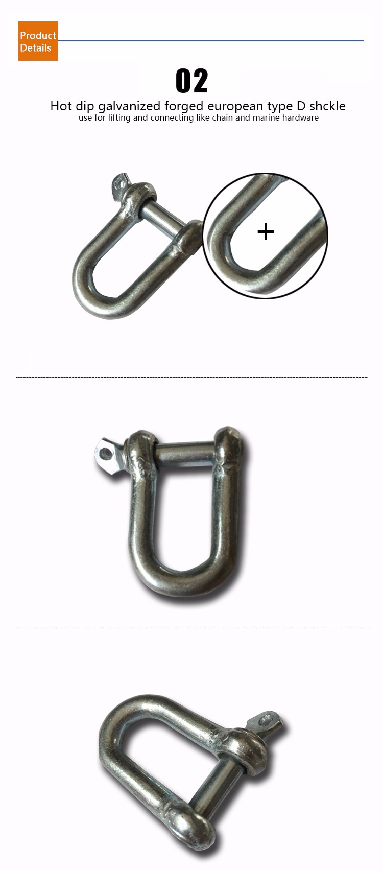 European Type Drop Forged Dee Shackle