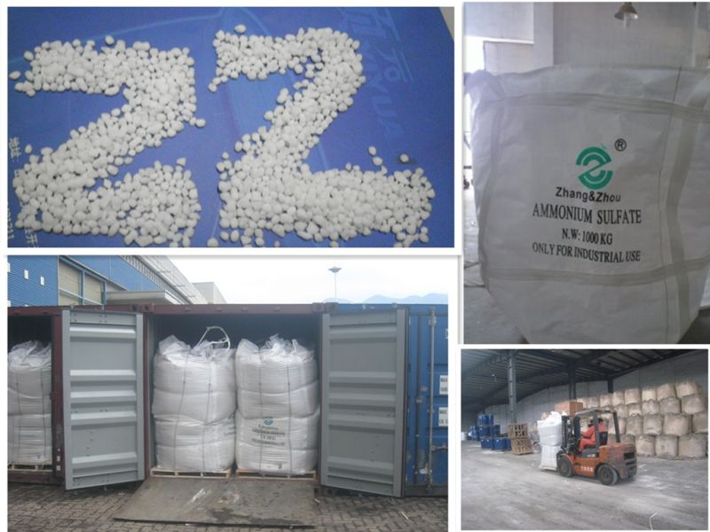 Crystalline Ammonium Sulphate (N 21%) (caprolactam grade) (accept SGS or BV inspection)