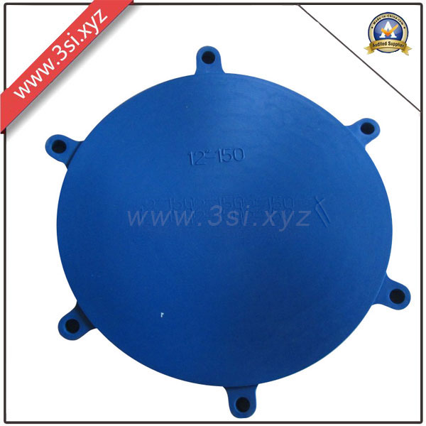 Plastic Flange End Covers with 6 Bolted Holes Wholesaler (YZF-H117)