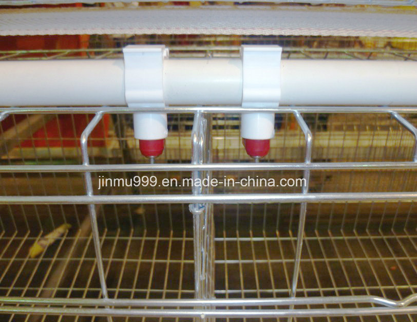 Poultry Equipment Layer Broiler Chicken Cage Made in China