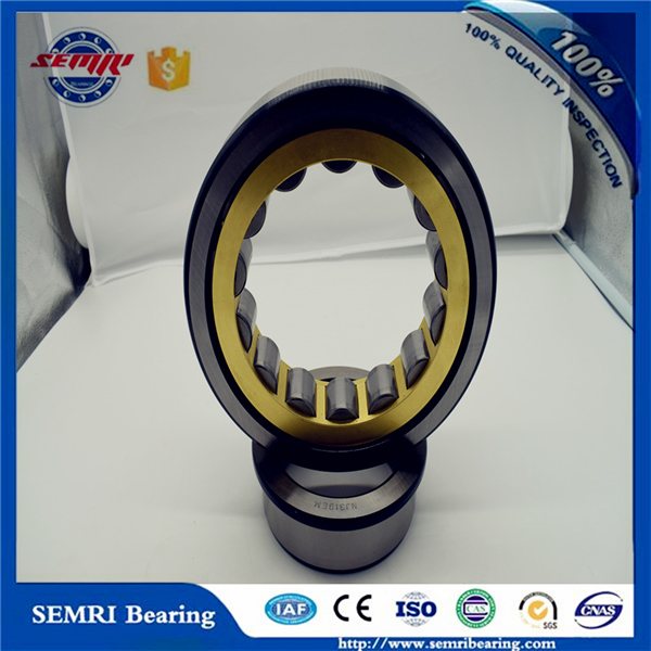 Zys Chrome Steel Cylindrical Roller Bearing (NU418)