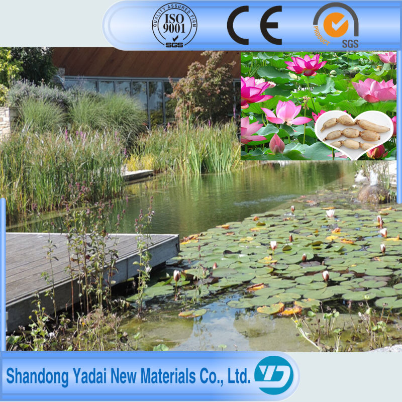 HDPE Liner EPDM Geomembrane for Landscape Water Pond