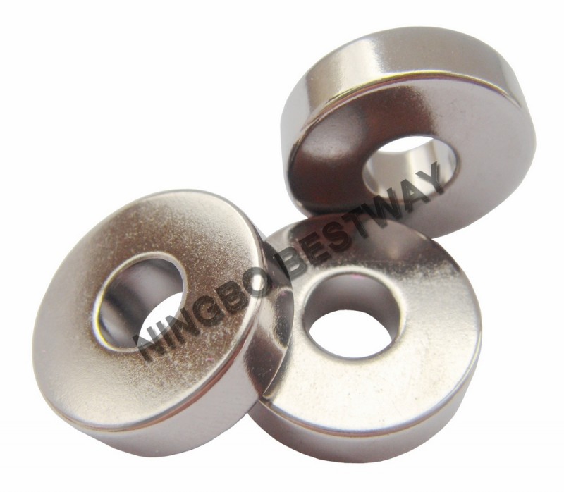 Sintered NdFeB Magnet Disc for Speaker CE/SGS Certified