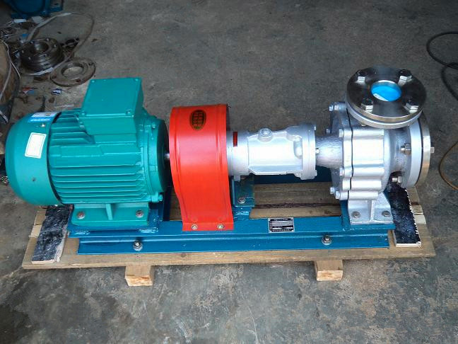 Stainless steel hot oil circulation pump