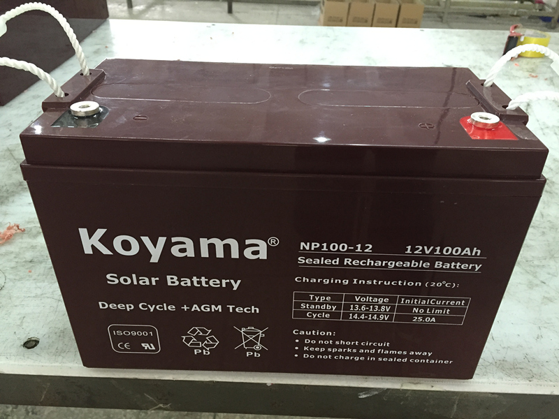 12V 100ah Lead Acid AGM Battery for Telecom, Solar & UPS