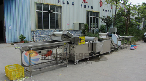 Multi-Function Cutter and Bubble Washer of Fruit Vegetable Processing Line for Factory