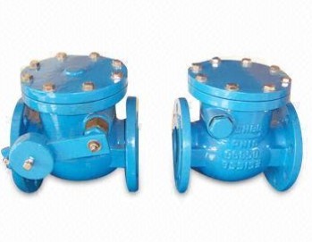 Domestic Water Systems Check Valve