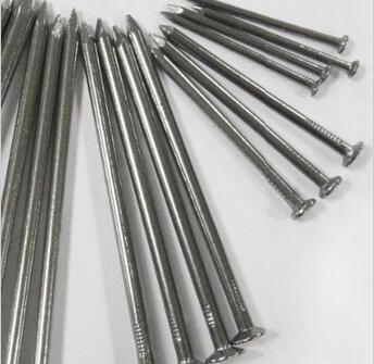 Direct Factory Hot Selling Concrete Nails