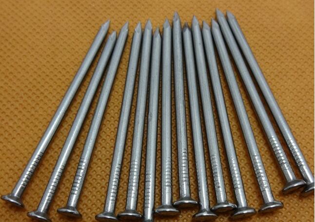 OEM Customized Wholesale Common Nail Iron Nail Factory