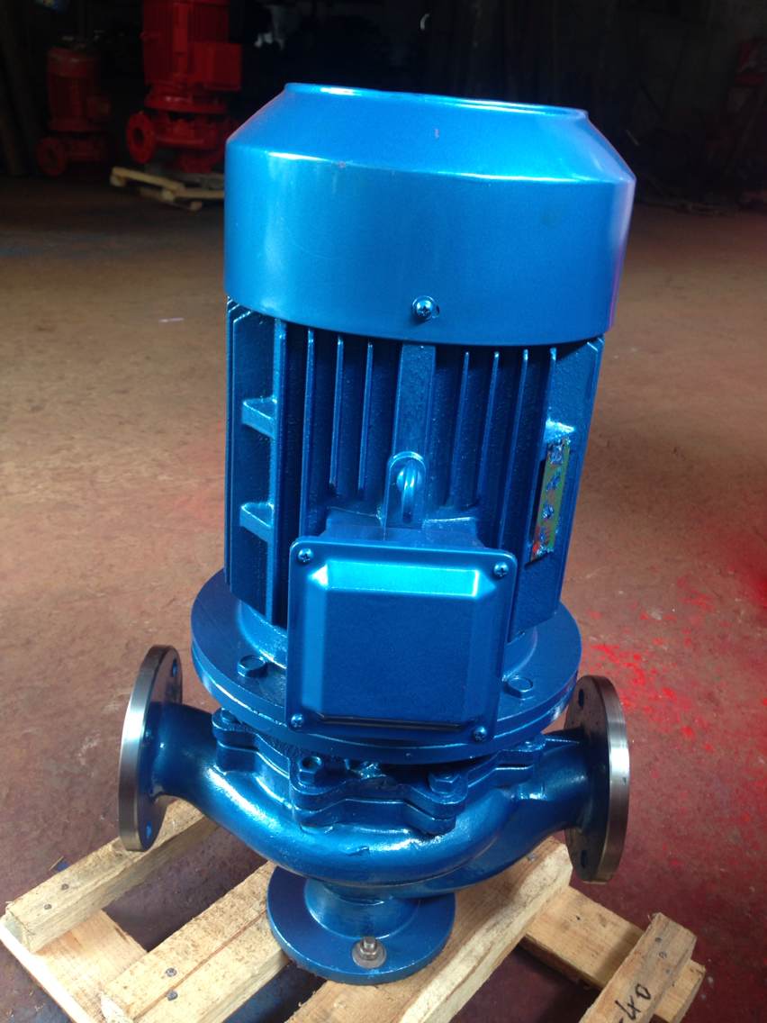 ISG stainless steel material pump