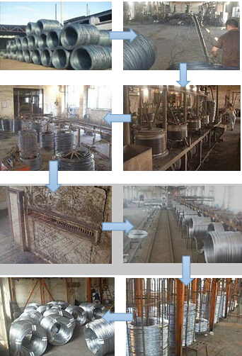 Bwg 21 Electro Galvanized Iron Wire (XA-GW010)