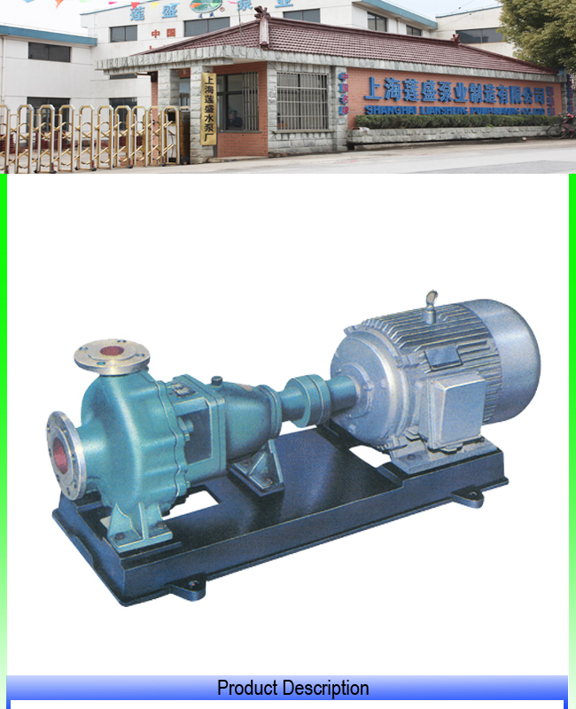 Singlestage Single-Suction Chemical Pump