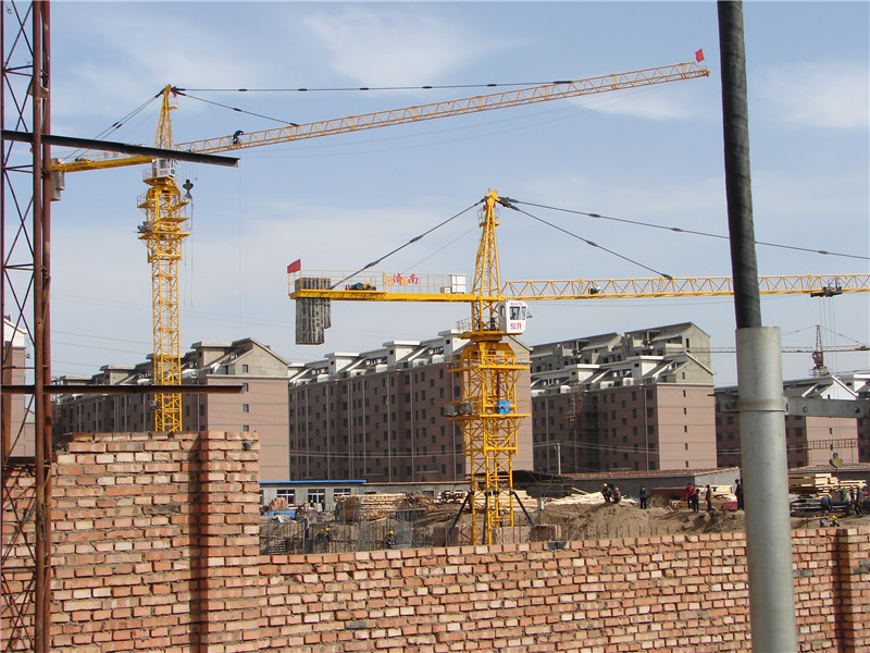 Crane Construction Made in China Hstowercrane
