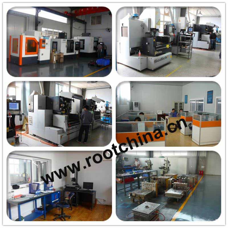 Precsion Plastic Injection Mould