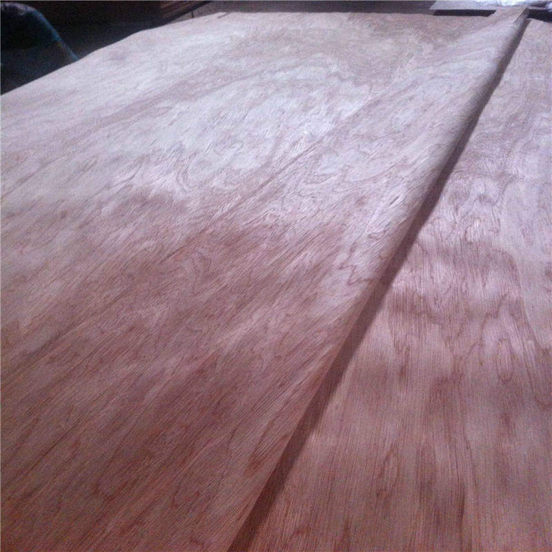 Rotary Cut 4'x8' Size Bintangor Veneer From Linyi