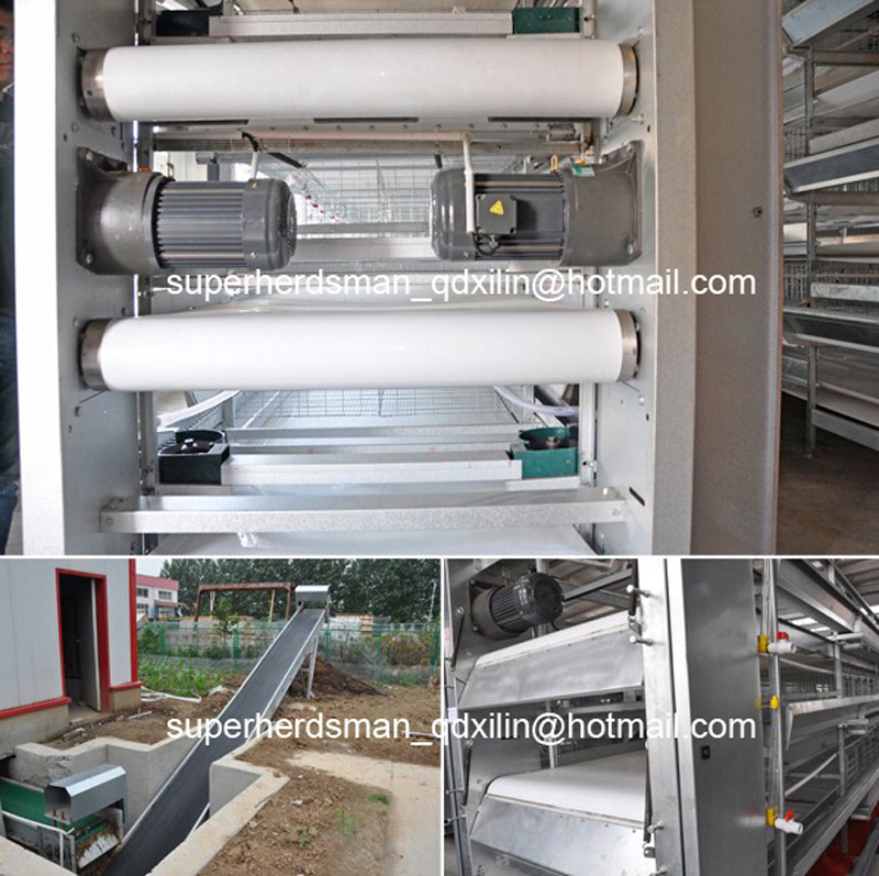 Hot Sale H Type Chicken Cage System with High Quality