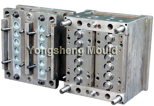 12 Cavities PP Cap Mould (YS1603)