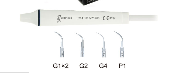 Built in Type Woodpecker Dental Ultrasonic Scale Uds-N2