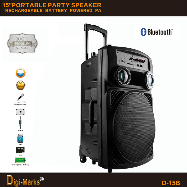 Cost-Effective Ce/FCC/UL Outdoor Karaoke HiFi Active Battery Trolley Mini Speaker