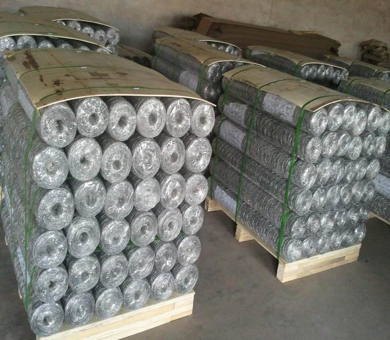 Hexgaonal Wire Mesh/Stucco Mesh