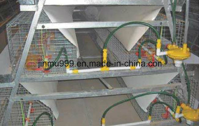 Automatic Pullet Chicken Birds' Poultry Cages for Farm Use