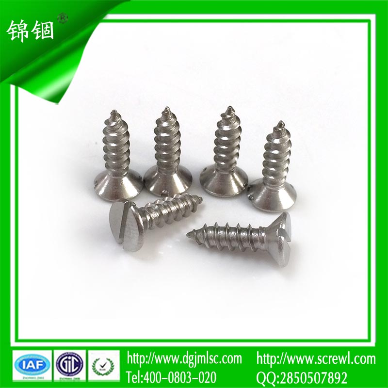Widely Used Slotted Flat Head Self Tapping Screw