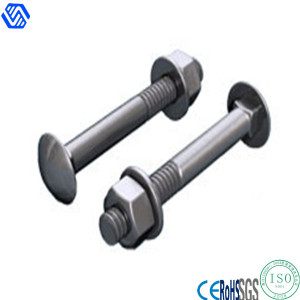 Stainless Steel Cup Head Square Neck Bolts