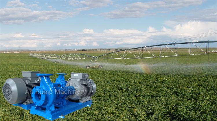 Farm Agriculture Irrigation Water Pump Stainless Steel Centrifugal Water Pump for Pumping Clear Water