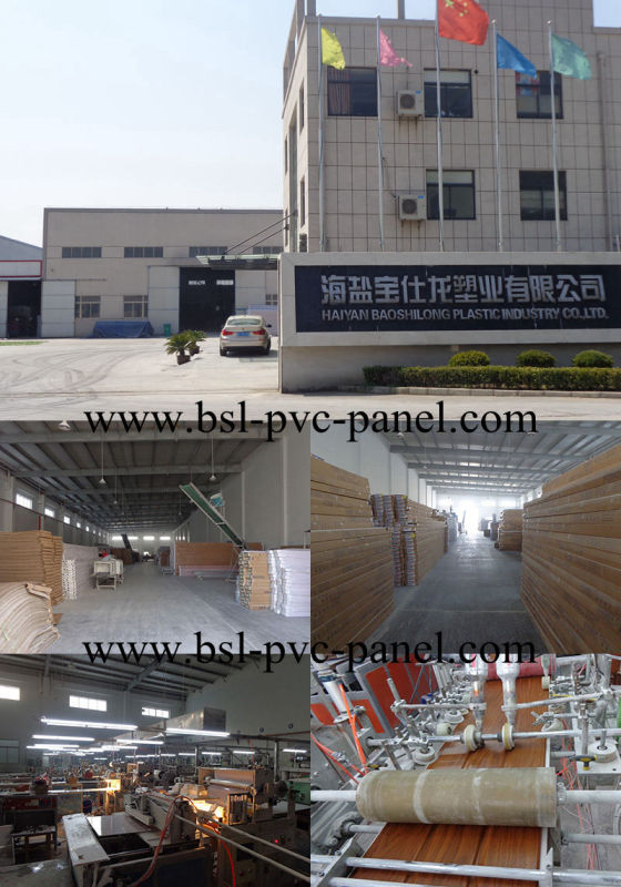 25cm*8mm Lamination PVC Wall Panel (8112)