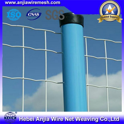 PVC Coated Welded Holland Wire Mesh for Construction with SGS