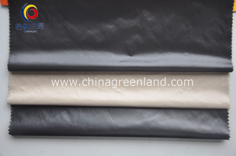 High Quality Calendered Nylon Fabric with Downproof (GLLNSF001)