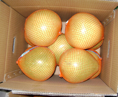 Pomelo/Fresh Chinese Fruits of Good Quality