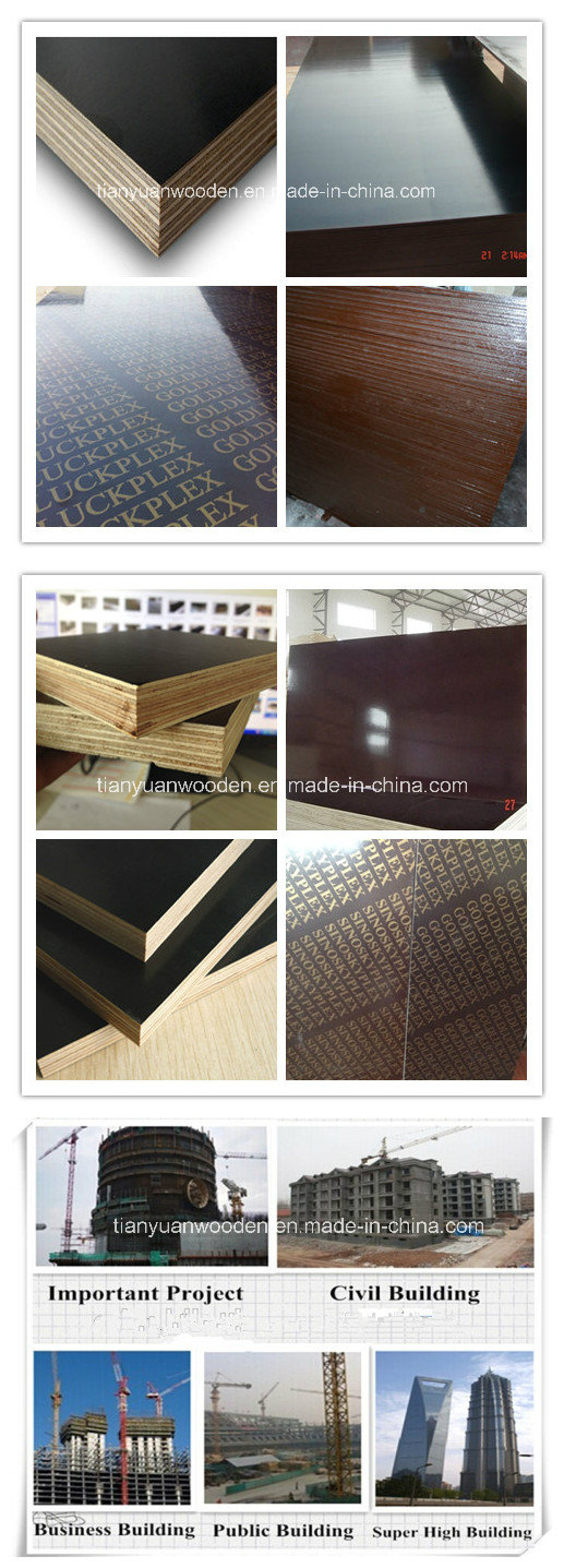 Waterproof Shuttering Black/Brown Film Faced Plywood with Logo for Construction