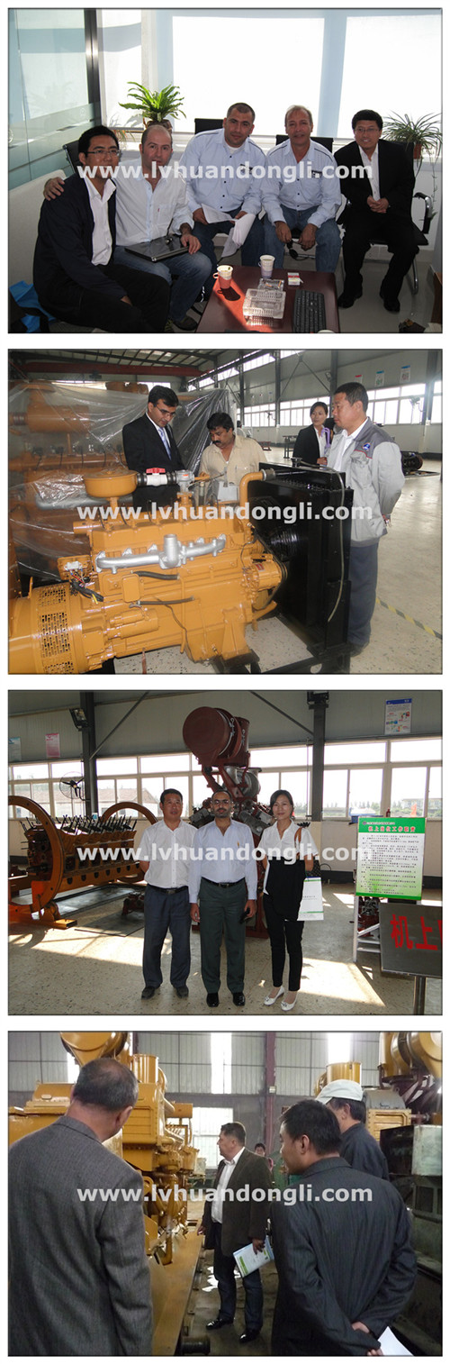 Cow Manure Biogas Power Plant Biogas Gas Engine Electric Power Gas Generator