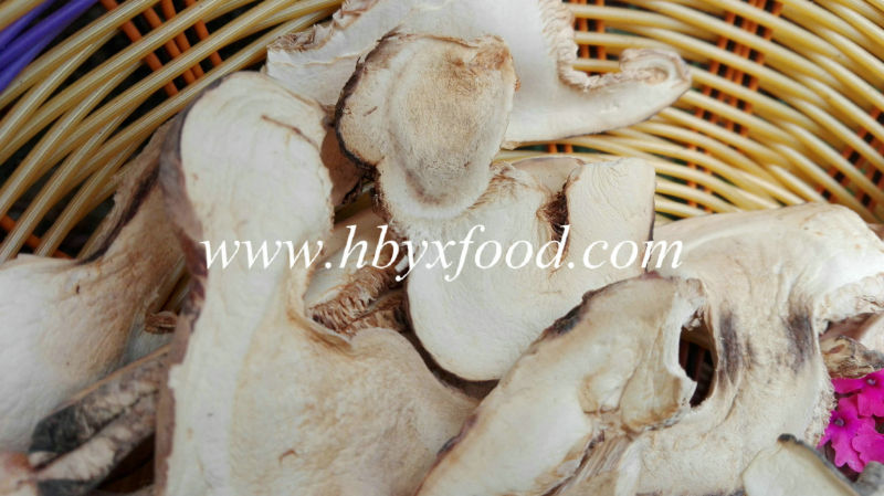 Pleurotus Eryngii Mushroom Slice and China Mushroom Piece