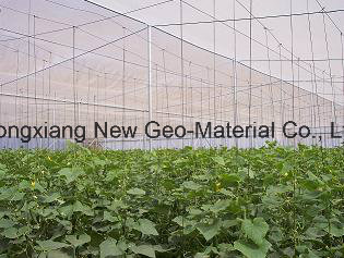 Anti Insect Net 100% HDPE with UV 5 Years Insect Screening