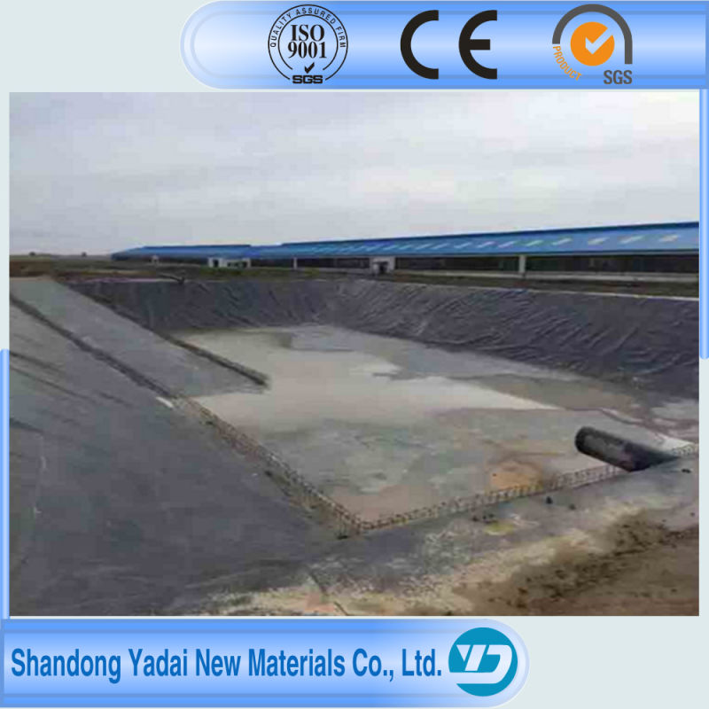 HDPE Geomembrane Pond Liner Fish Farm Waterproofing Impermeable Membrane